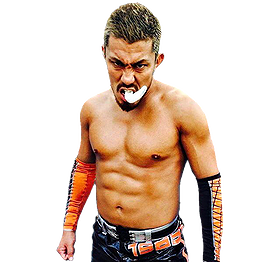 Akira Tozawa