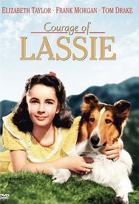 Courage of Lassie