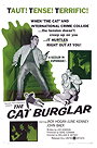 The Cat Burglar