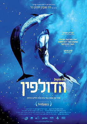 Dolphin Boy