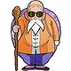 Master Roshi