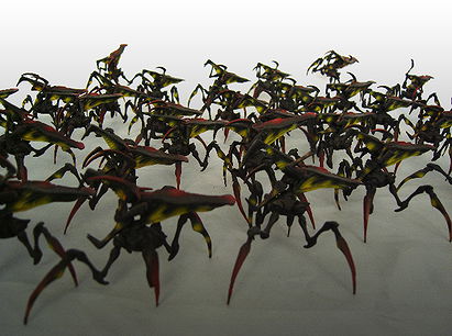 The Aarachnids