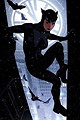 Catwoman II (Holly Robinson)