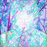 Stained Glass Stories