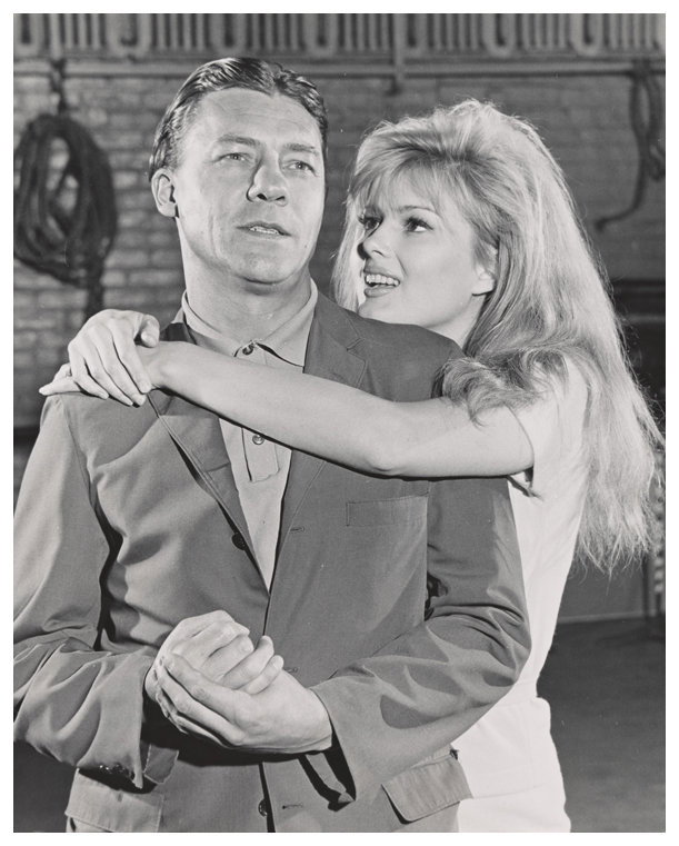 Robert Burr
