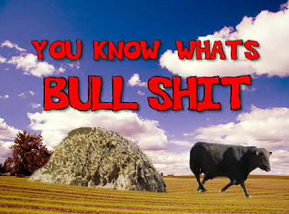 You Know Whats Bull Shit