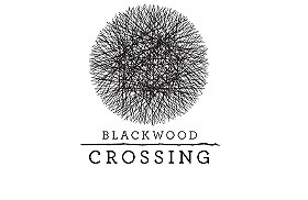 Blackwood Crossing (PC Games)
