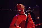 Polly Panic