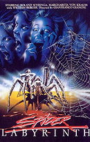 The Spider Labyrinth