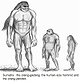 Orang Gadang
