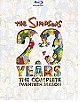 The Simpsons: The Complete Twenty First Season 