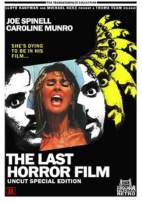 Last Horror Film   [Region 1] [US Import] [NTSC]
