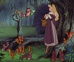Forest Animals