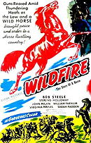 Wildfire