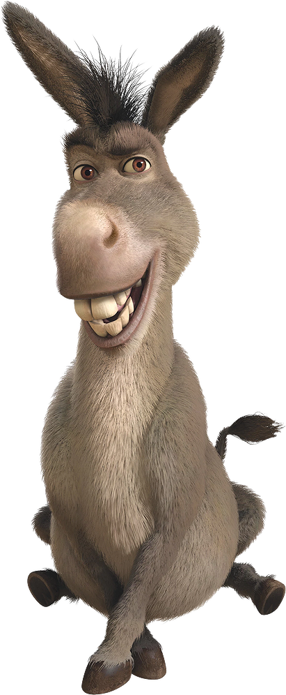 Donkey