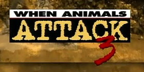 When Animals Attack!