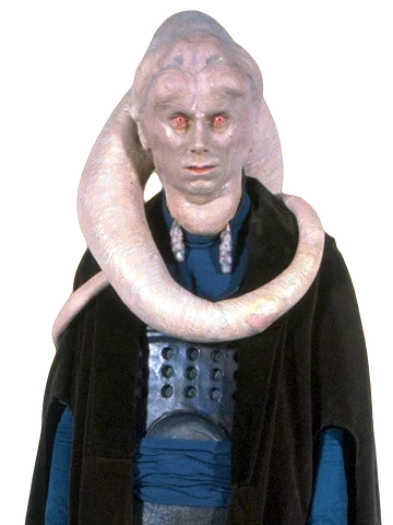 Bib Fortuna