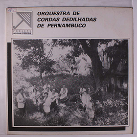 orquestra de cordas dedilhadas de pernambuco