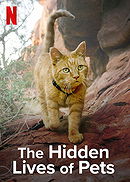 The Hidden Lives of Pets