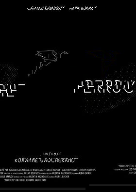 Perruche