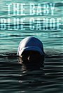 Baby Blue Canoe