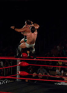 Michael Elgin vs. Davey Richards