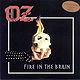 Fire in the Brain