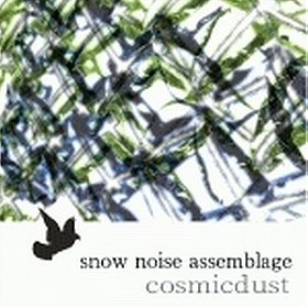Snow Noise Assemblage