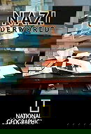 Nazi Underworld