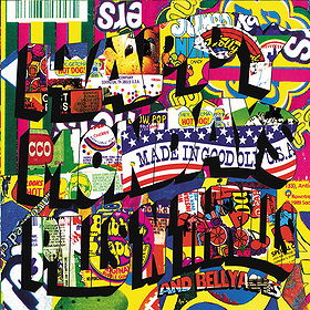 Pills 'N' Thrills And Bellyaches