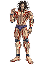 Raiden Tameemon
