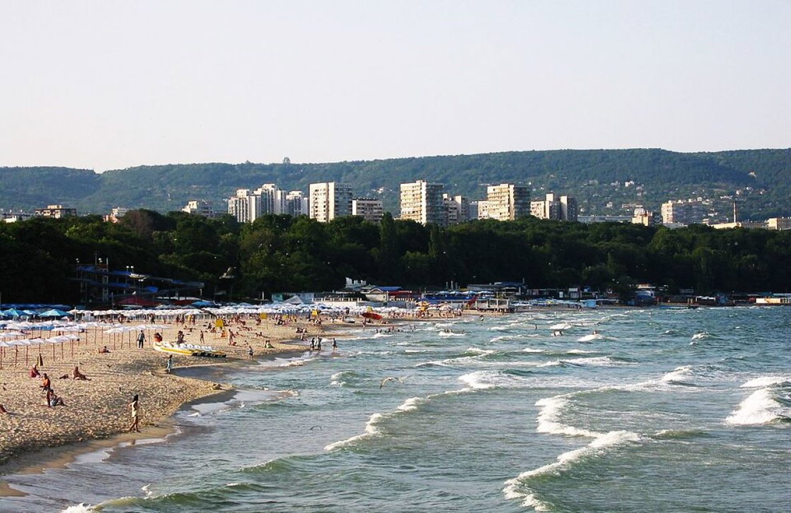 viktoriyag