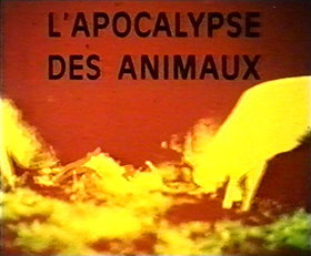 L'apocalypse des animaux