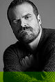 David Harbour
