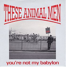 You're Not My Babylon