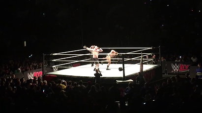 Brock Lesnar vs. Rusev (2/6/16)