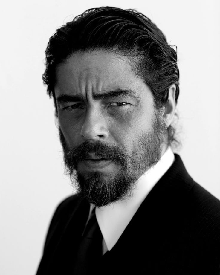 Benicio Del Toro