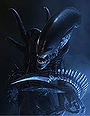 Xenomorphs