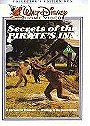 Secrets of the Pirates