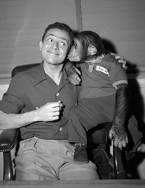 Joe Corey