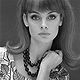 Jean Shrimpton