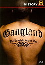 Gangland                                  (2007-2010)