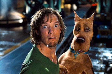 Shaggy Rogers (Matthew Lillard)