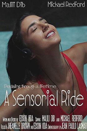 A sensorial ride (2017)