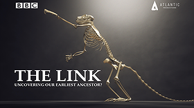 Uncovering Our Earliest Ancestor: The Link