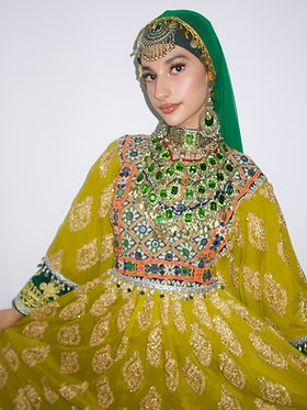 Ariana Elahi