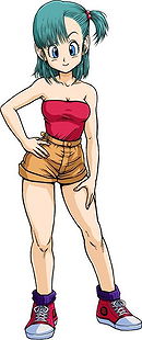 Bulma Brief