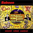 Secret Robot Control