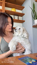 Lucy Hale