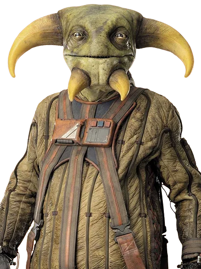 Boolio